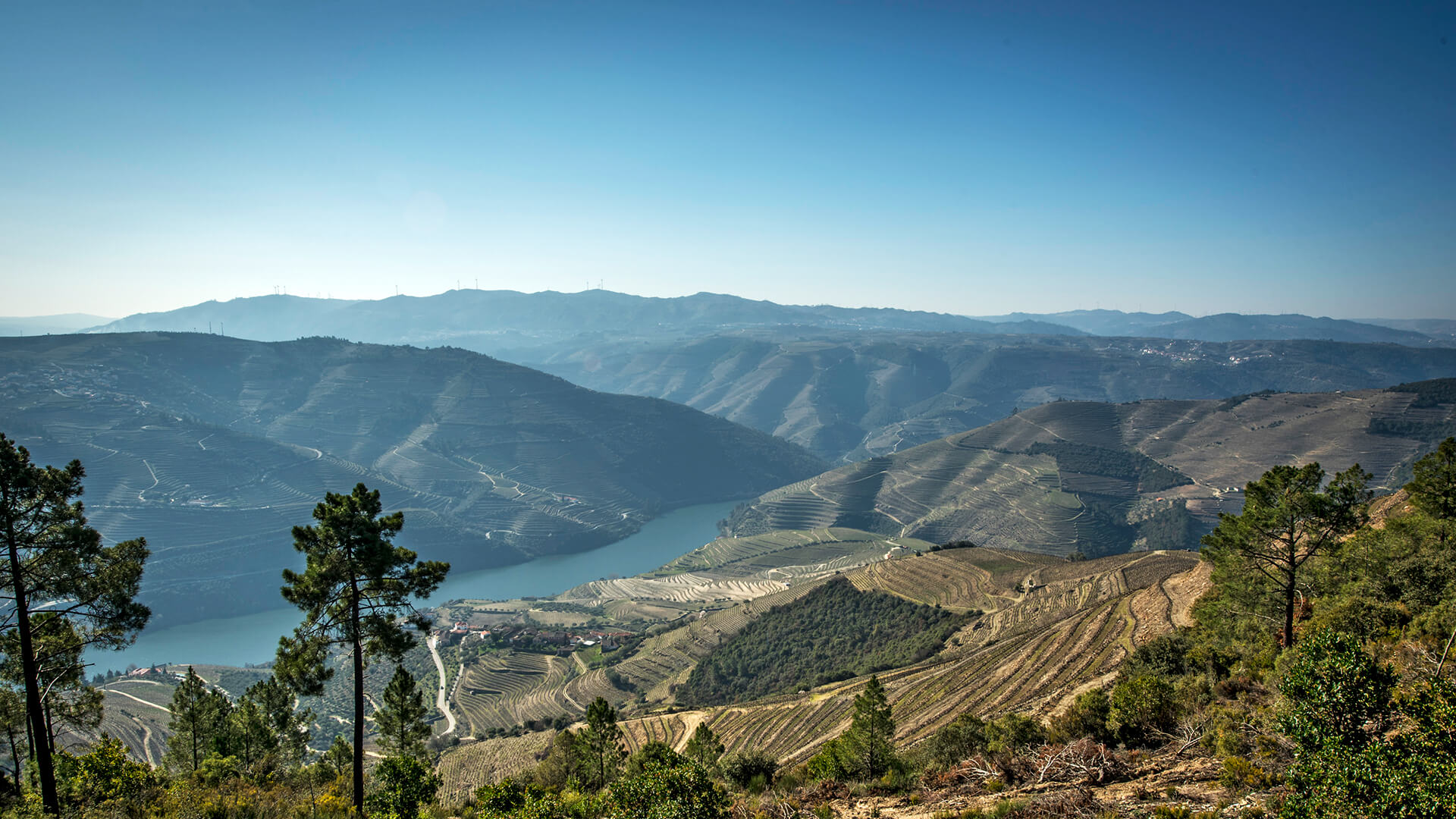 Quinta de Ceis - Vinhos DOP Douro, Vinhos do Porto & Azeites Biológicos